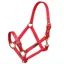 Shires Arma Adjustable Headcollar - Red